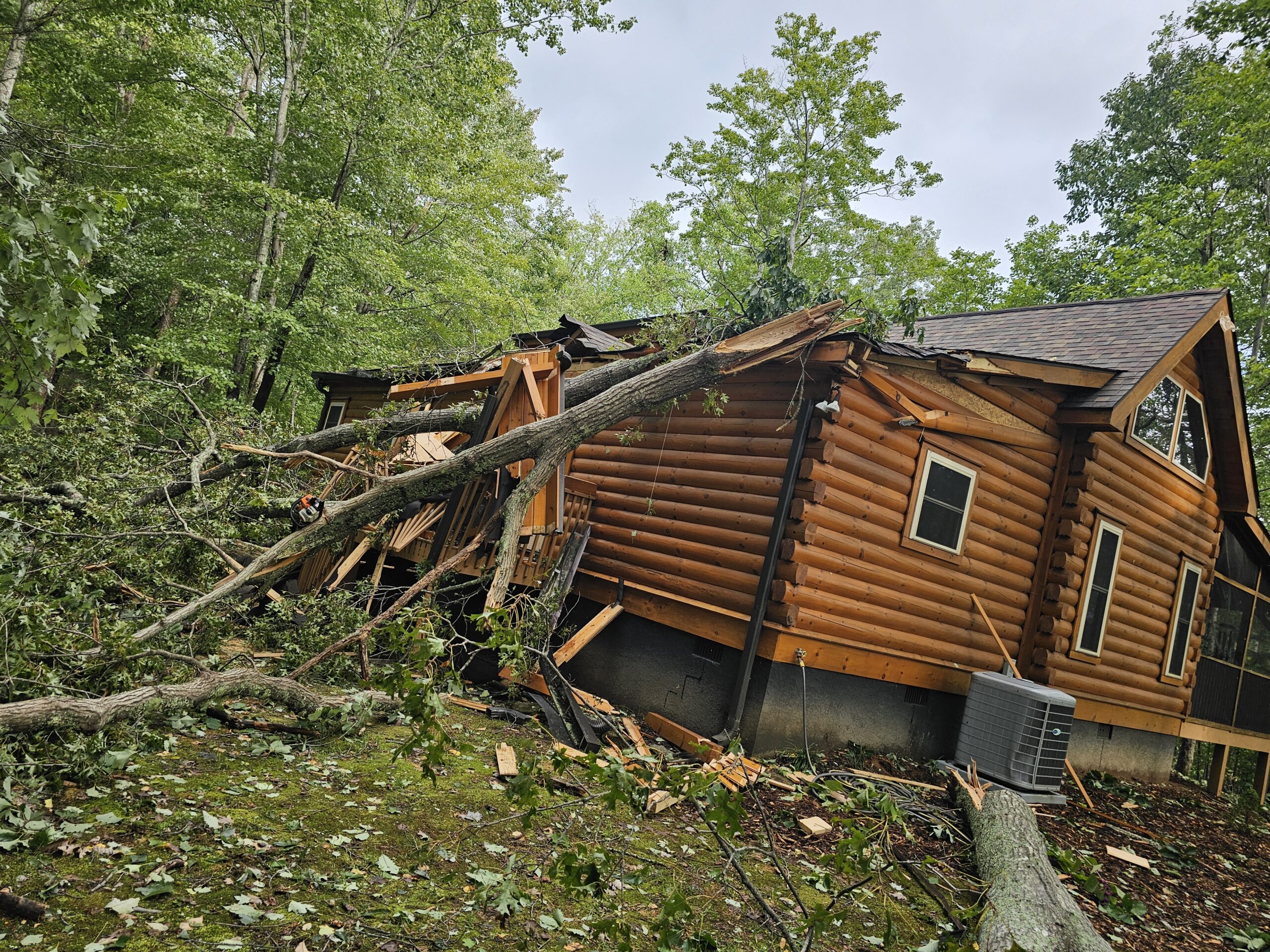 Tree on Log Home